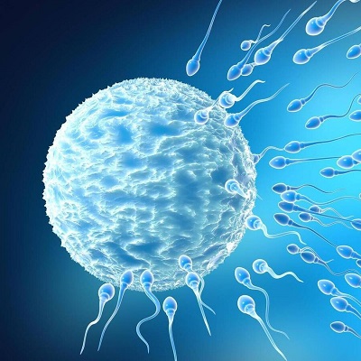 علاج العقم 1 علاج العقم في أبوظبي